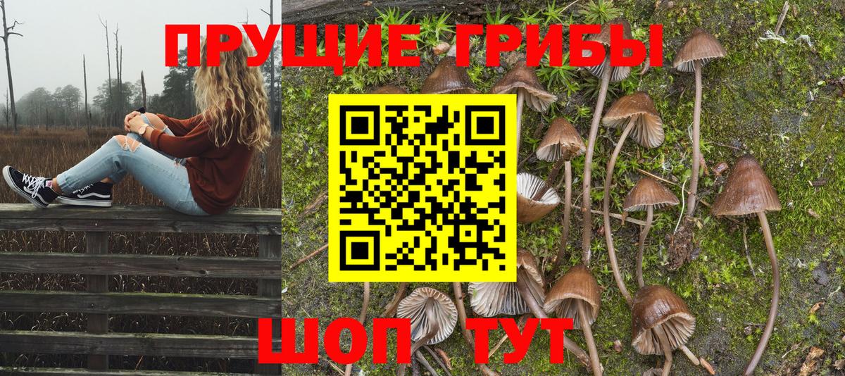 купить  сайты  Вход с VPN  Ливны  Галлюциногенные грибы Psilocybine cubensis 
