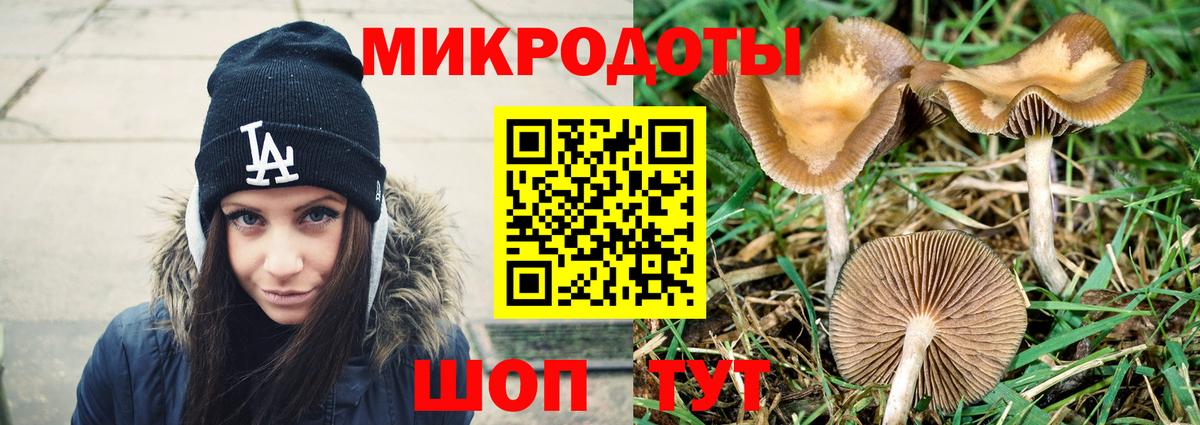 Галлюциногенные грибы ЛСД Ливны